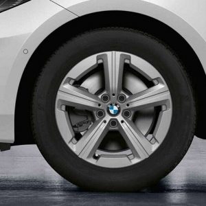 BMW 17 Zoll Leichtmetallräder Sternspeiche 875, lightning grey