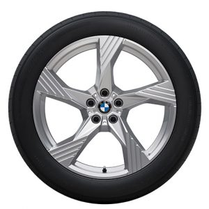BMW 20 Zoll Winter-Leichtmetallräder Sternspeiche 1045, Refined Silver