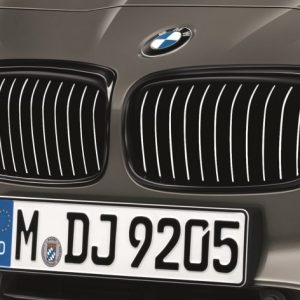 BMW M Performance Frontziergitter schwarz hochglänzend für 2er (F45, F46)