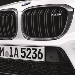 BMW M Performance Frontziergitter Carbon rechts/links für X3M (F97)
