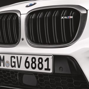 BMW M Performance Frontziergitter Carbon links/rechts für X4M (F98)