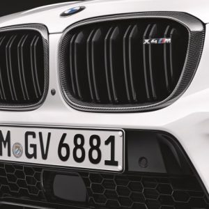 BMW M Performance Frontziergitter Carbon links/rechts für X4M (F98)