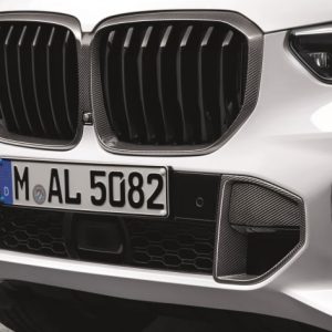 BMW M Performance Frontziergitter Carbon für X5 (G05)