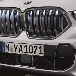 BMW M Performance Frontziergitter Carbon für X6 (G06)