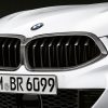 BMW M Performance Frontziergitter Carbon für 8er (G14, G15, G16)