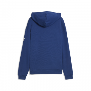 BMW M Motorsport Lifestyle Hoodie