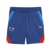 BMW M Motorsport Sportswear Sweat Shorts