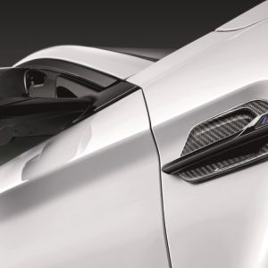 Set Air Breather Carbon BMW M2 (F87, F87 LCI)