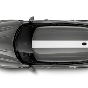 MINI Sportstripes weiss (Roofkit) für Countryman (F60, F60N)